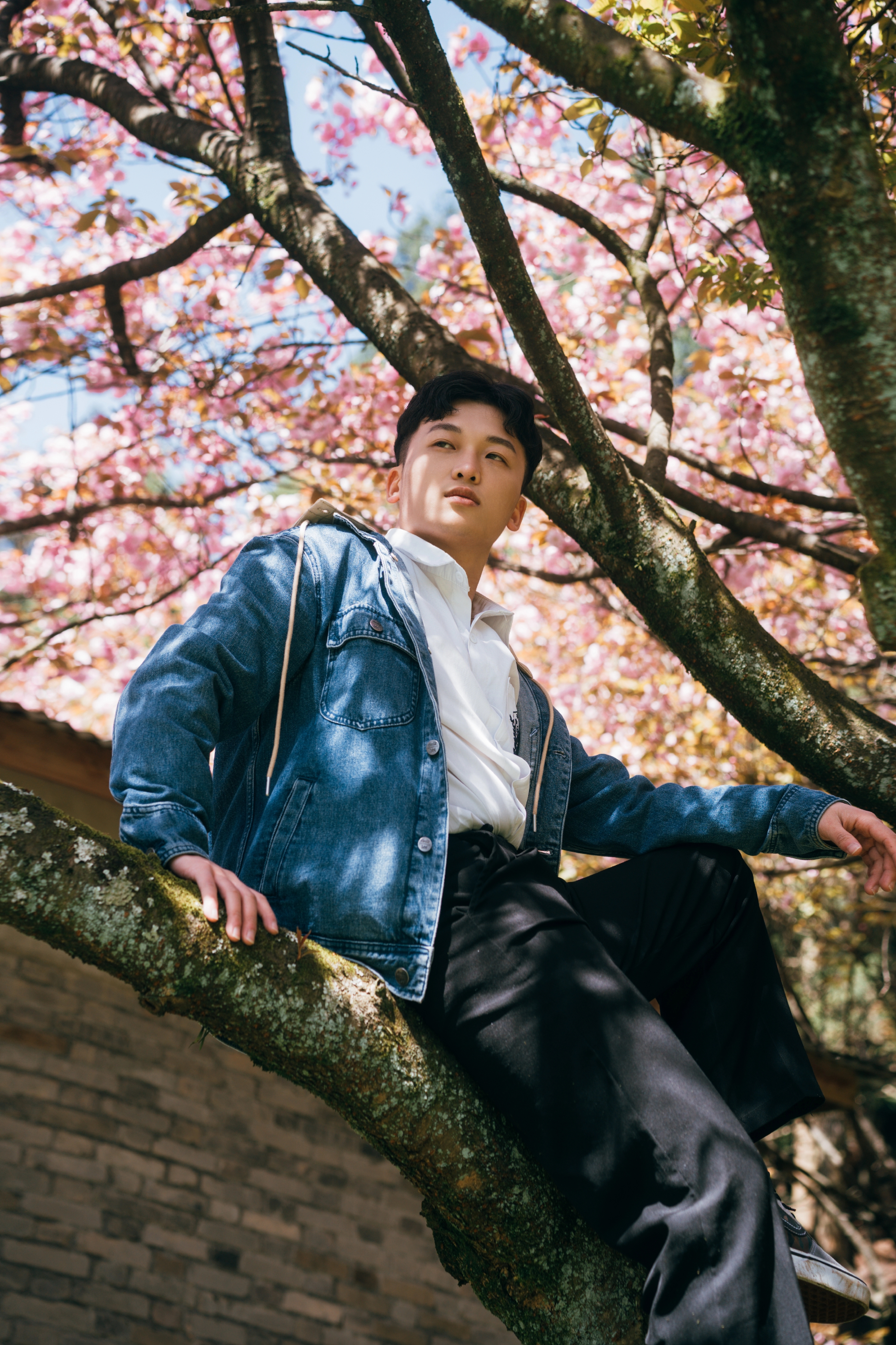 商量岗内的这家酒店,四季气候适宜居住,住客宛若身处桃花源