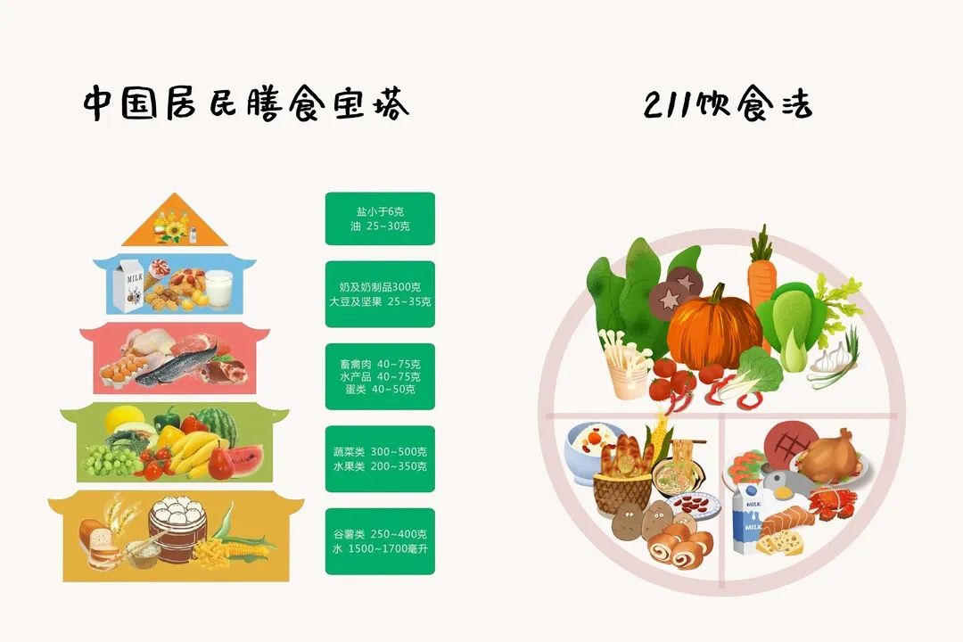 高碳水主食和高脂肪主食有什么,蛋白质碳水脂肪摄入合理的食谱