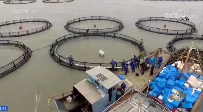 年过花甲,他重回“鬼门关”,抓出上亿黄金财