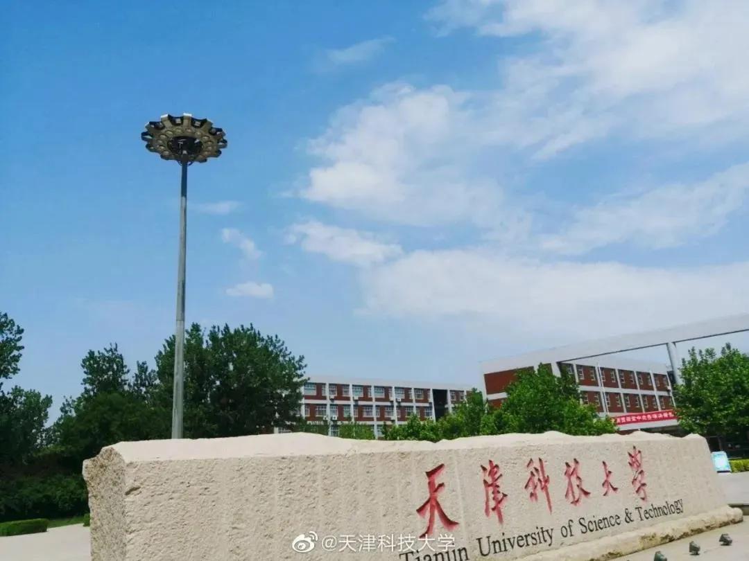天津排名前十的大学在全国的排名,天津所有大学排名榜一览表最新