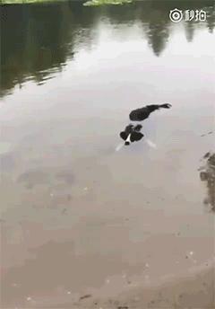 特别搞笑的收藏照片,值得收藏的gif动图