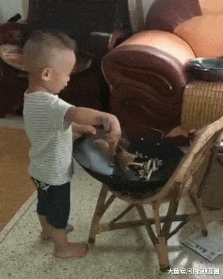 这只鹦鹉一直以为他是一只猴,所以每天都在重复做这个动作