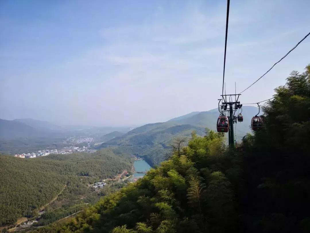 今天，我在宜兴竹海，过传统春节，沾福气满满！