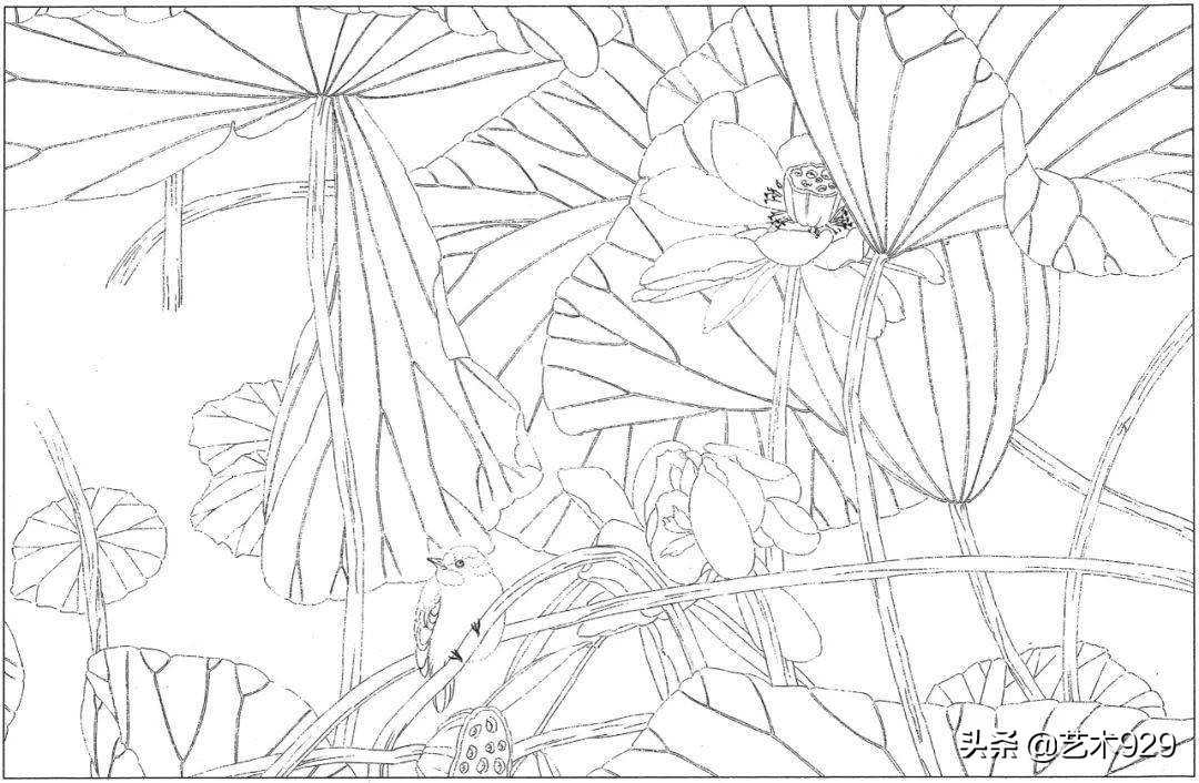 余稚荷花蜻蜓图高清白描底稿,白描荷花勾线方法讲解视频