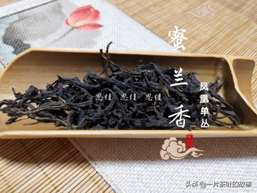 凤凰单丛入门标杆,全方位了解凤凰单丛