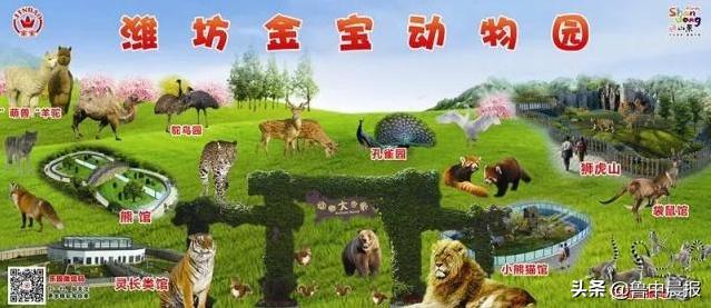 潍坊金宝乐园一日游价格,潍坊金宝乐园旅游攻略