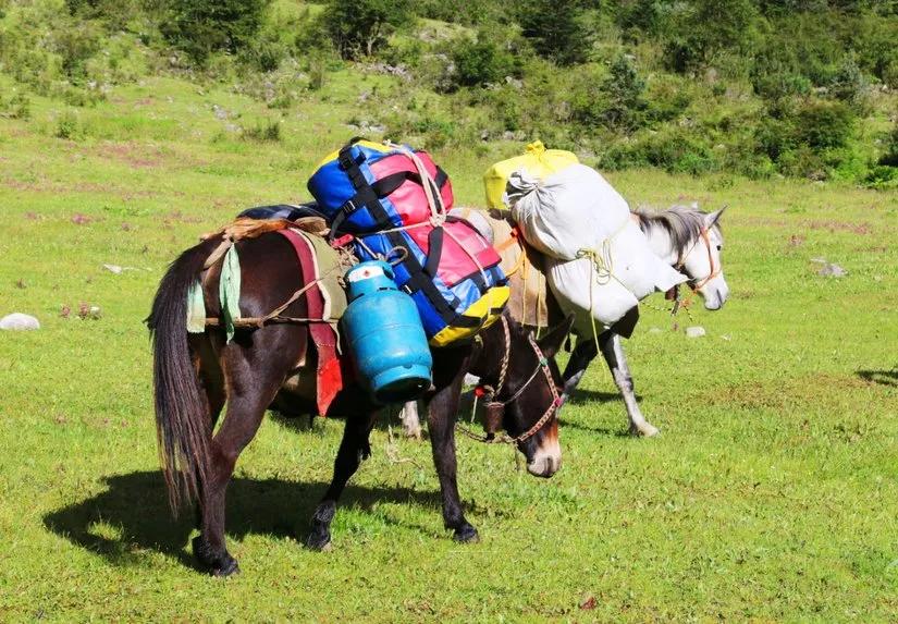 贡嘎山的徒步,贡嘎雪山大环线徒步游记