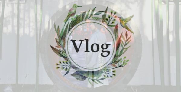 直播风口已开，新手短视频如何涨粉？