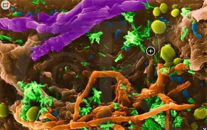 爱思乐厨具清洁布,爱思乐厨房清洁懒人抹布