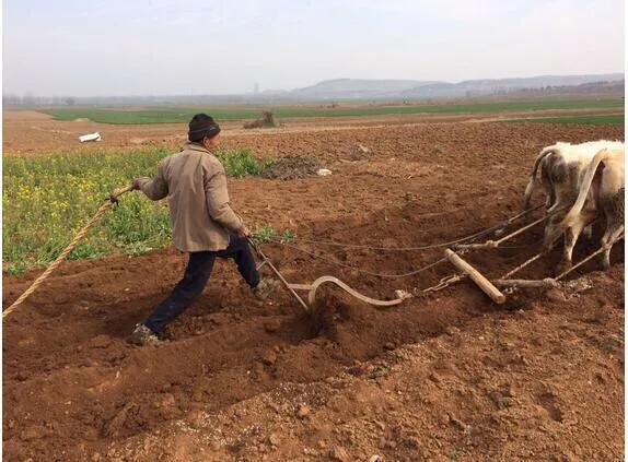 今日春分，春分是啥意思？春分下雨好不好？看俗语怎么说