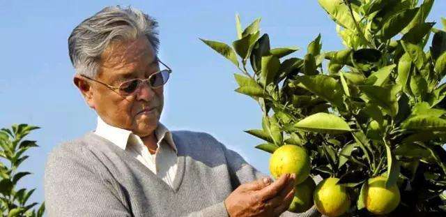 歌手2020当打之年第三期排名,歌手当打之年到底还能不能打