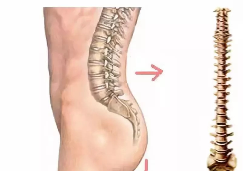 不练腿对力量的影响,不站桩就练不出功夫吗