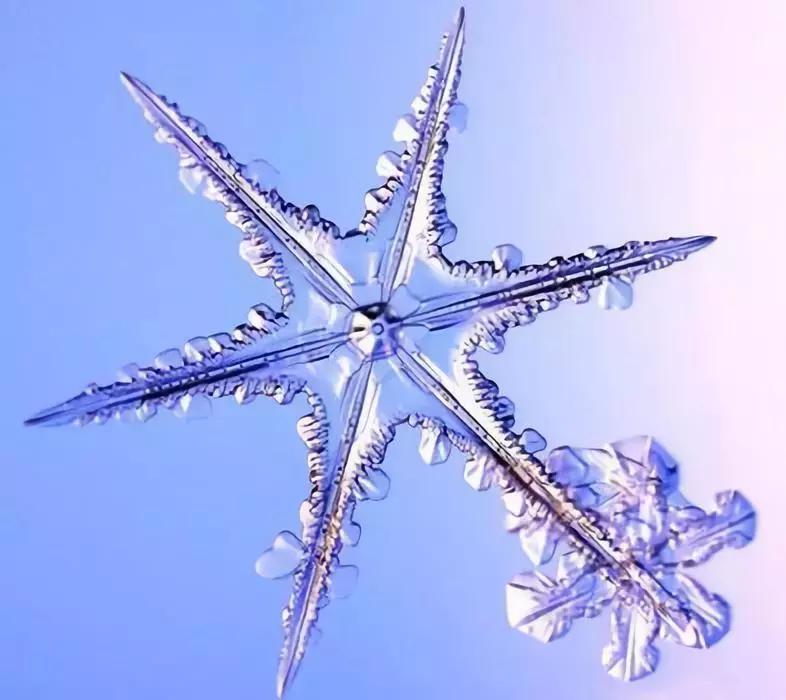 邯郸雪下哪里了,雪如约而至周末天气怎么样