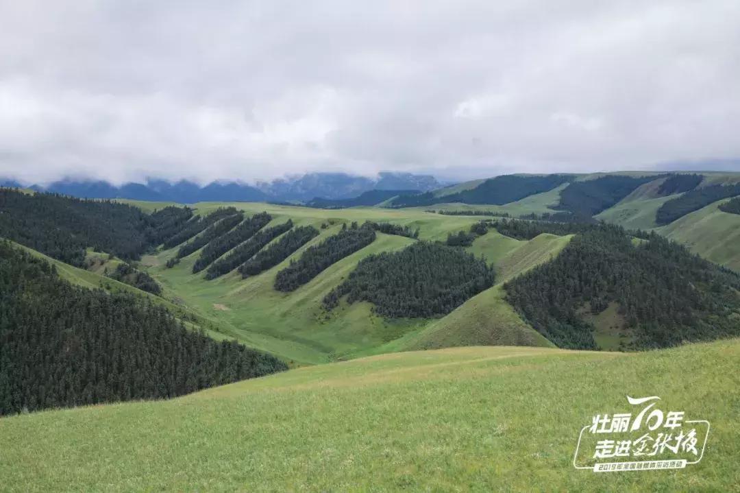 甘肃宝藏最多的地方,甘肃这座宝藏小城