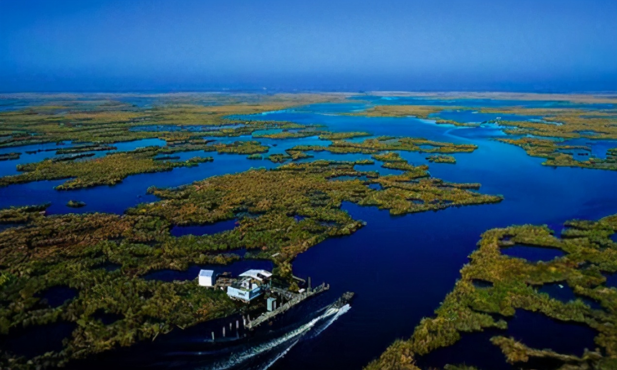 倒打一耙，美国牛肉消费破坏地球，却说中国吃猪肉影响环境