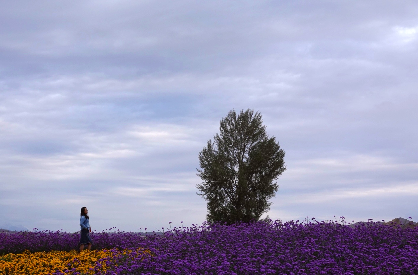 张掖旅游十大线路,张掖旅游和深度游