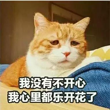 魔都赏花旅游攻略,魔都春季赏花好地方