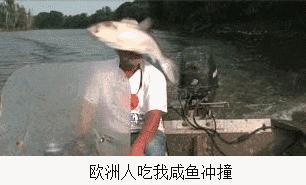 闲鱼红海蓝海哪个好,闲鱼比较好做的三个类目