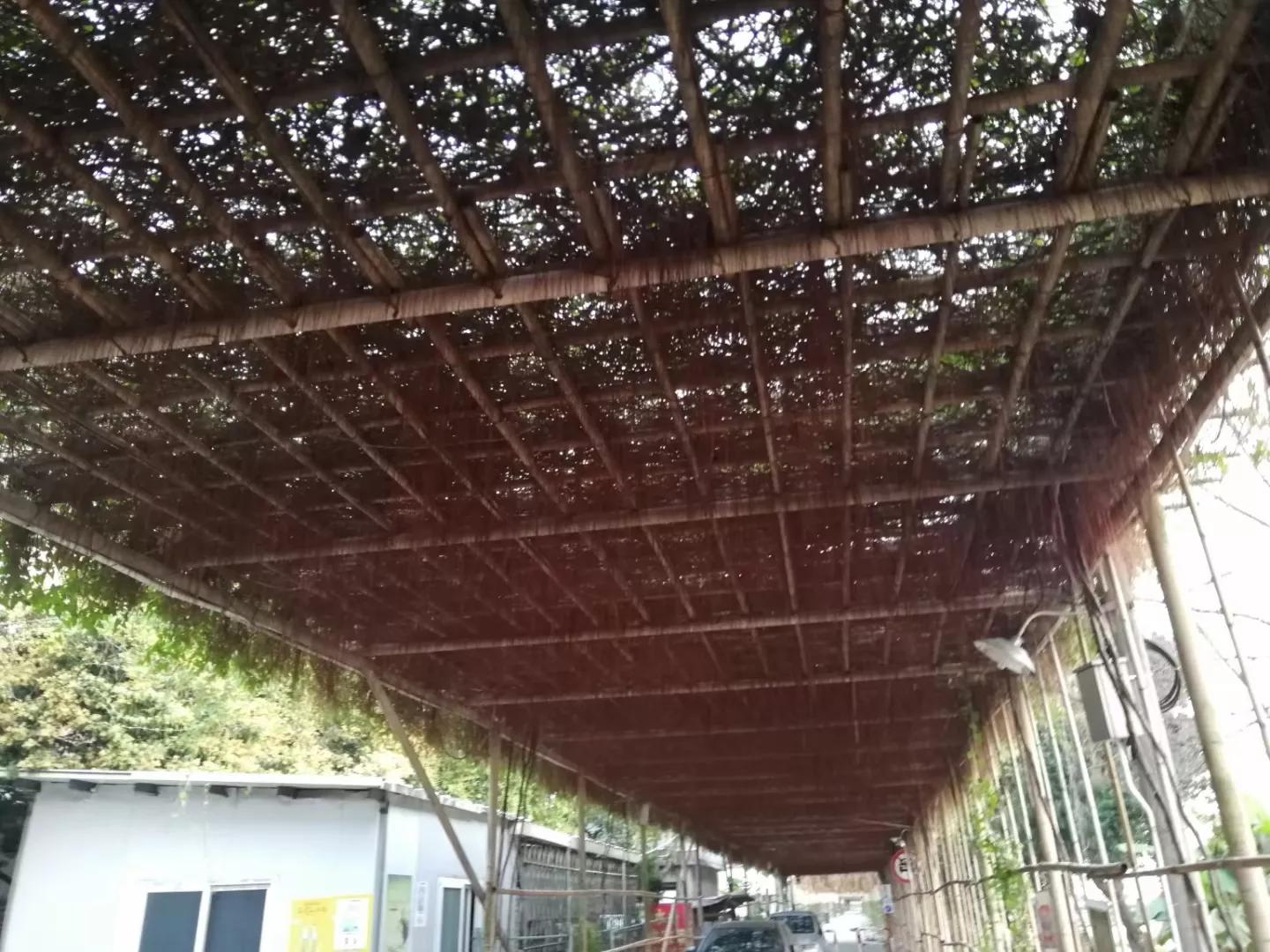 番禺地铁7号线旅游攻略,广州番禺七号线游玩攻略