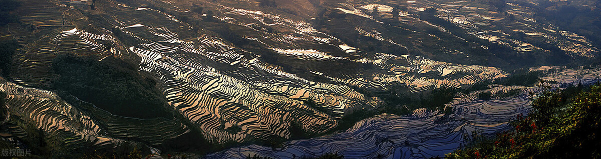 被低估的云南白药,云南各州医疗实力