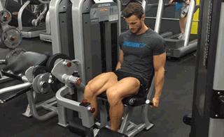 促睾腿部训练,腿部训练动作大全健身房