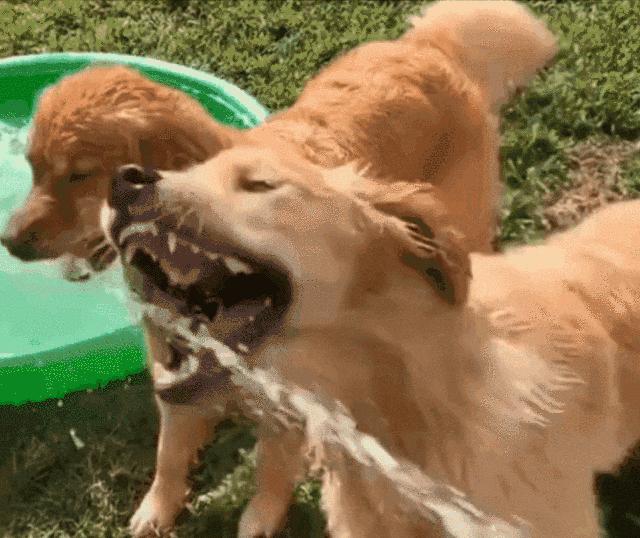 穿恨天高坐地铁的社死现场,两位男士都不忍看这次“崴脚表演”