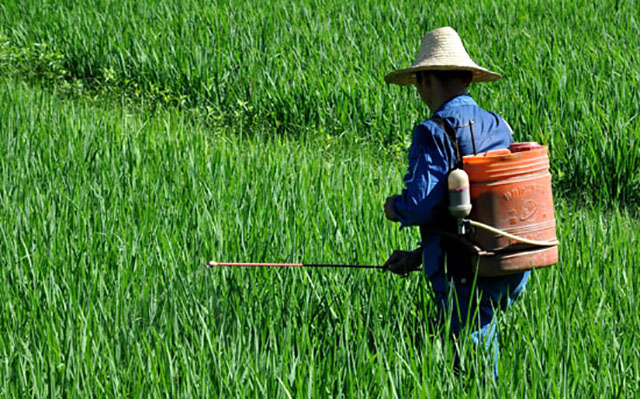 农药识别技巧口诀大全视频,农药识别口诀完整版