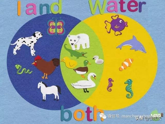 数123算7+6就是数学启蒙?5岁孩子的数学题真让我觉得自己out了