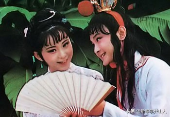黛玉和宝玉祭文,宝玉为黛玉写祭文了吗