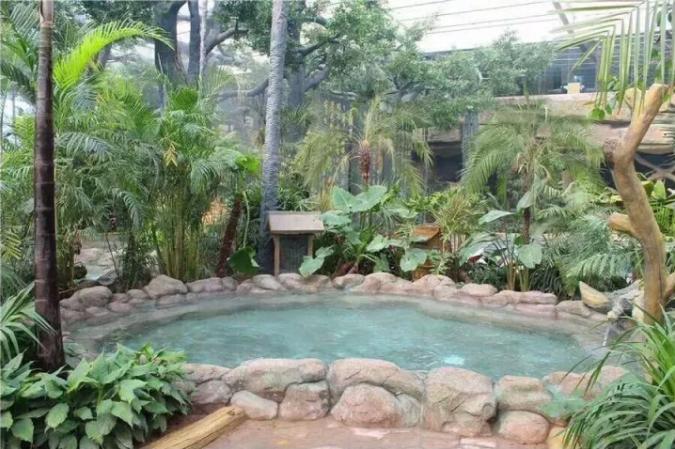 常泡温泉可以排出体内毒素吗,泡温泉可以排出血液里的毒素吗