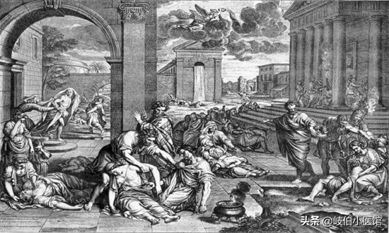 关于鼠疫的100个知识,鼠疫这本书告诉我们什么