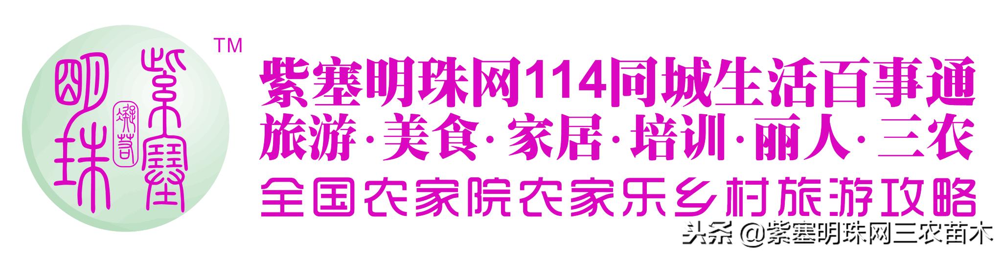 黄姚古镇大黄牛客栈团购优惠,贺州市昭平县黄姚古镇大黄牛客栈