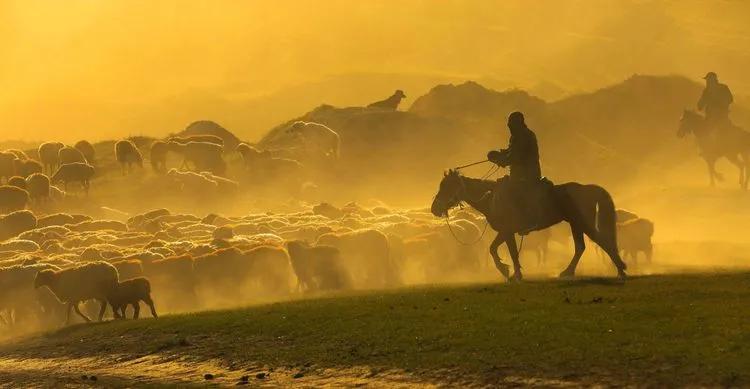 迁徙的家园，马背上的诗