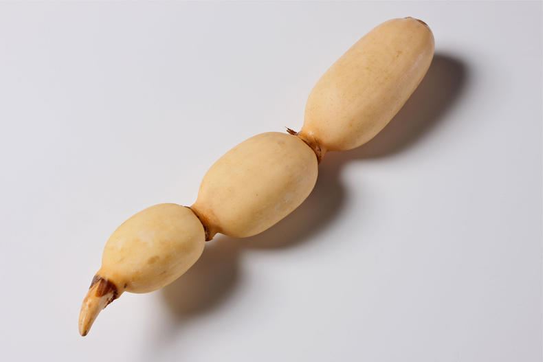 蜂蜜减肥的正确吃法及最佳时间,蜂蜜怎么吃才有效减肥法