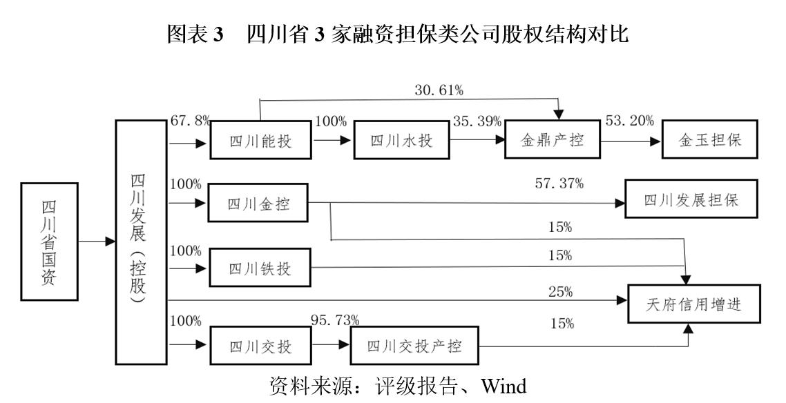 担保公司运营情况汇报材料,担保公司担保项目案例