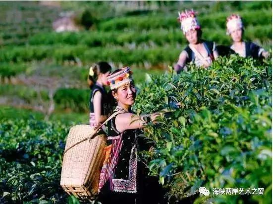 云南不同民族之间民俗的差异性,介绍一种云南少数民族的风俗文化