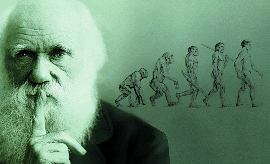 喜欢昆虫的孩子应该怎么培养,小时候喜欢昆虫长大了却不喜欢了