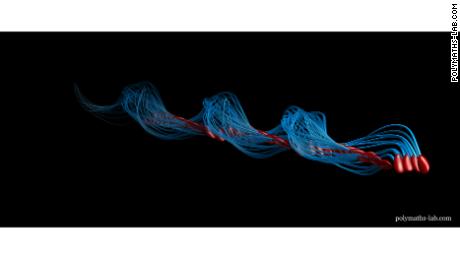 当精子被发现进行“滚动运动”后,科学家感谢列文虎克带来的欢乐