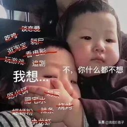 女明星的工作是什么,女明星工作图