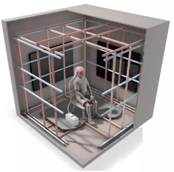 人脑对磁场的感应,人类的大脑可以感知地球磁场