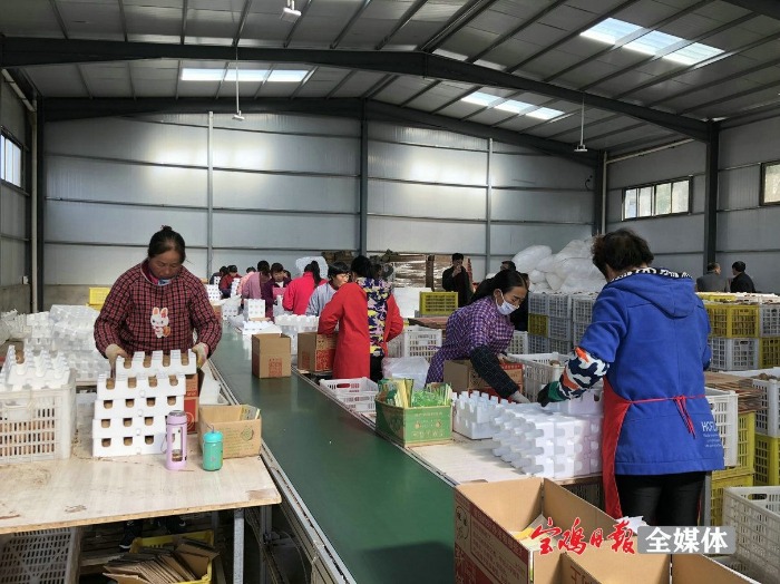 眉县猕猴桃软糯香甜刚刚好,欢迎全国人民品尝眉县猕猴桃