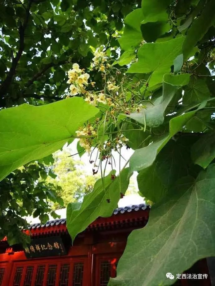 十年树木百年树人植树节演讲稿,十年树木百年树人植树节作文