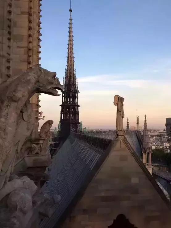 巴黎圣母院修复中国设计师,巴黎圣母院226个重建方案