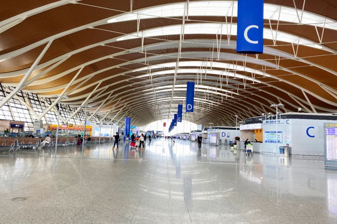 澳门攻略一日游避开人流量,澳门转机出境旅游攻略