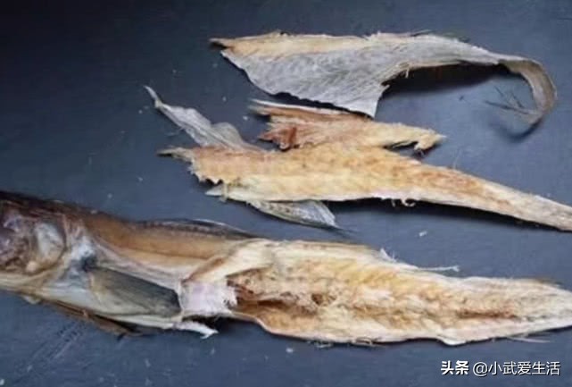 东北人吃的海鲫鱼,东北人喜欢吃的海鲜菜