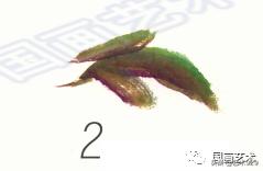 国画技法简单易学的写意牡丹,国画最简单牡丹画法教学视频