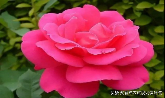 德安老山湾生态庄园一日游,江西山谷春果桑园生态旅游山庄