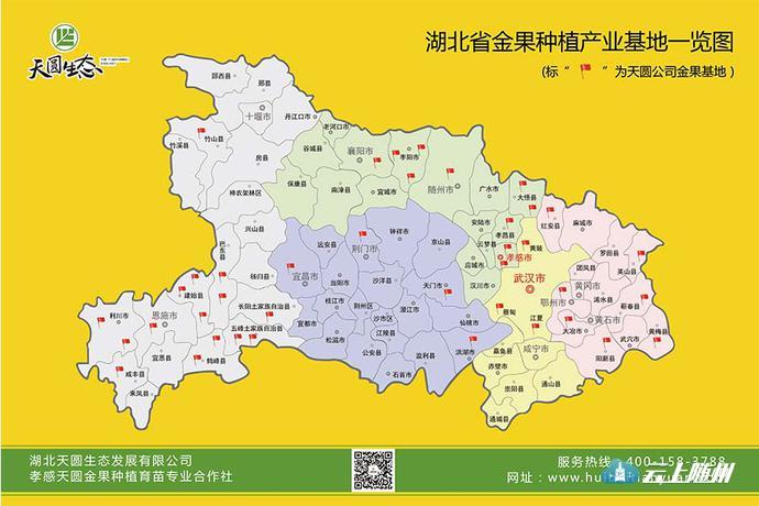 婀栧寳瀛濇劅绉嶆閲戞灉鍩哄湴,瀛濇劅閲戞灉