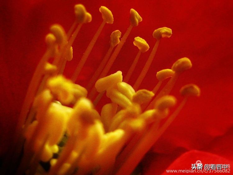 山西农大美丽的校园,山西农大校园风光