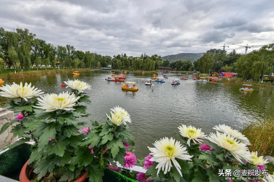 马跑泉公园有菊花展吗,庆祝菊花